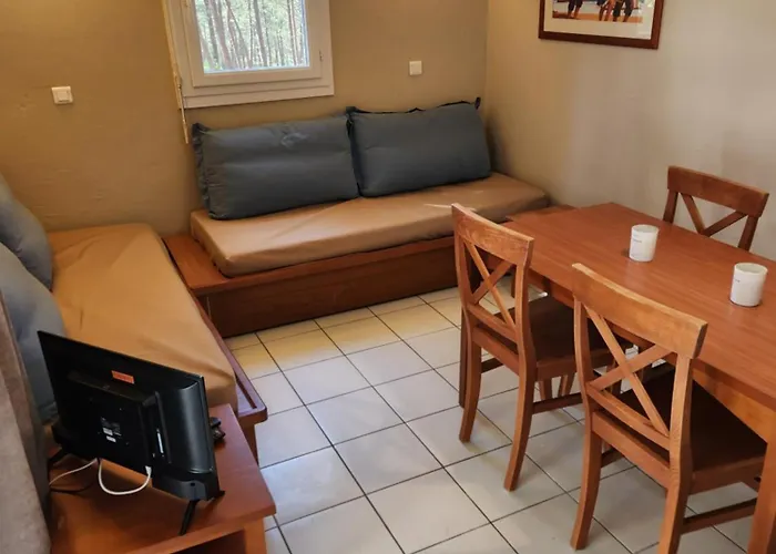 公寓 Les Grands Pins 卡尔康